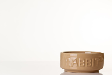 Small classic styled rabbit food bowl shot in the studio on white perspex backgroundの写真素材