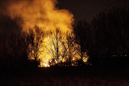 burning a large bonfire behind trees at night