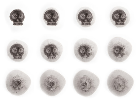 Ice Cube in the shape of a human skull melting on a white backgroundの写真素材