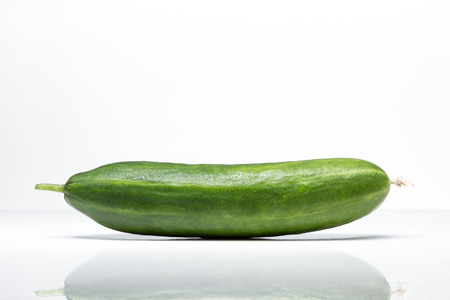 Home grown fresh mini cucumber on white studio backgroundの写真素材