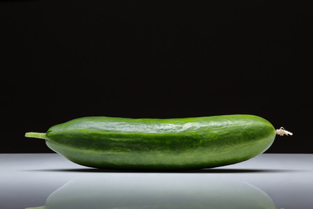 Home grown fresh mini cucumber on white studio backgroundの写真素材