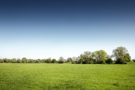 landsacape image of green fields in houghton in Cambridgeshire englandの写真素材