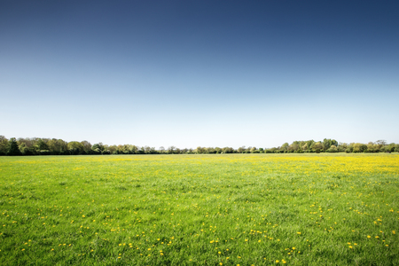 landsacape image of green fields in houghton in Cambridgeshire englandの写真素材