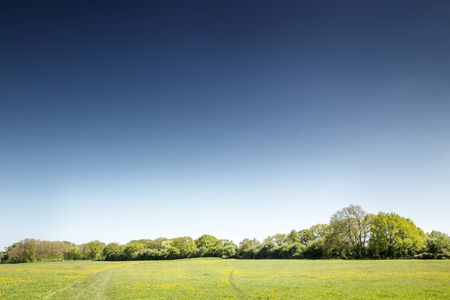 landsacape image of green fields in houghton in Cambridgeshire englandの写真素材