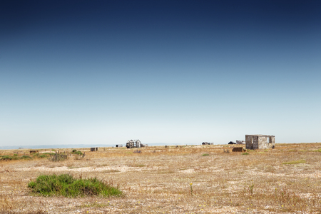 landscape image of Dungeness Marsh in englandの写真素材