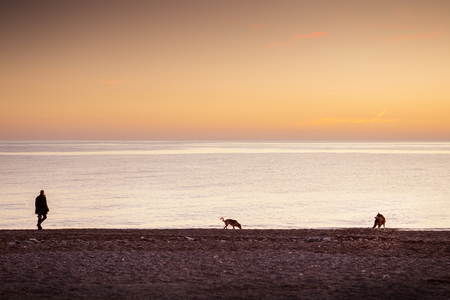 silhouette of man walking his dogs againts a setting sun on a beach in almunecar spainの写真素材
