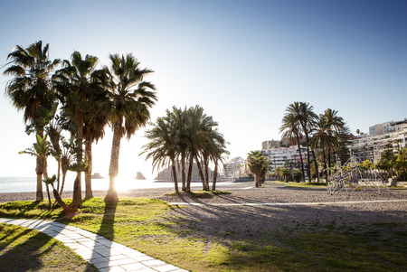 palm trees on a beach in spainの写真素材