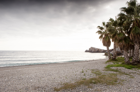 coatline of almunecar spain showing the sand, sea and palm trees on the beachの写真素材
