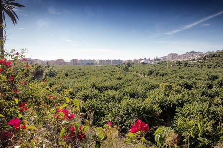 landscape image from the hill top looking out at Almunecar spainの写真素材