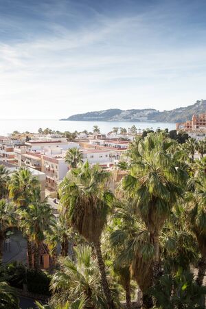 palm trees with a view of almunecar city and sea in the backgroundの写真素材