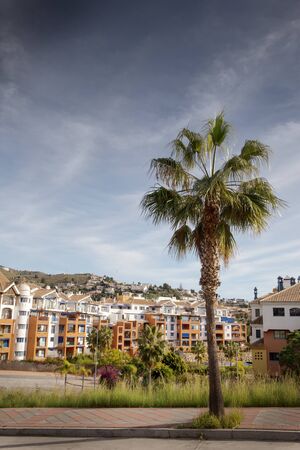 palm trees along a road in almunecar spain with nobody aboutの写真素材