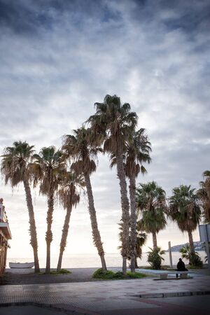 palm trees against a setting sun by the beach in almunecar spainの写真素材