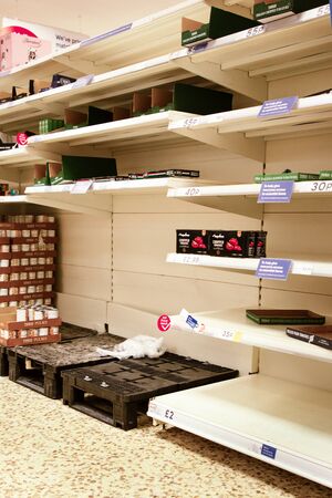 large supermarket selling out of beans and canned foodの写真素材