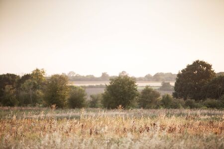 looking across a grassland field of the last light of the dayの写真素材