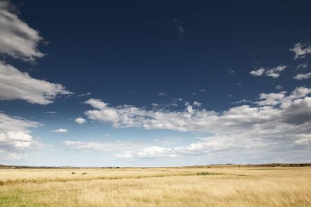 essex countryside farmland taken around a walk in fambridge on a cloudy day の写真素材