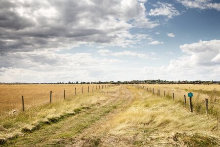 fenced of pathway in a farmers field in essexの写真素材