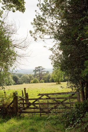 closed farm gate overlooking a field in the surrey countrysideの写真素材
