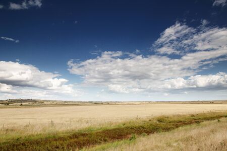 essex countryside farmland taken around a walk in fambridge on a cloudy dayの写真素材