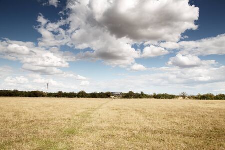 essex countryside farmland taken around a walk in fambridge on a cloudy day の写真素材