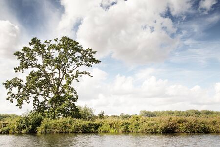 landscape image from a river on the norfolk broads の写真素材