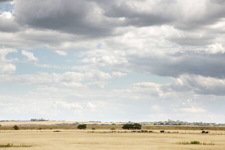 essex countryside farmland taken around a walk in fambridge on a cloudy dayの写真素材