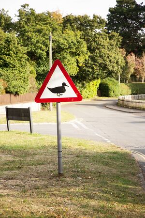 road sign on a street road of a duck cross point coming upの写真素材