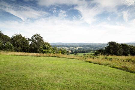 trees in a green field taken in the surrey countryside in englandの写真素材