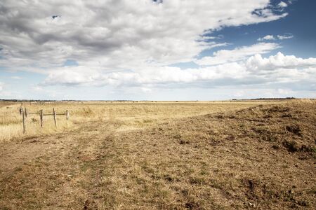 landscape of the grass farmlands of fambridge in essex englandの写真素材