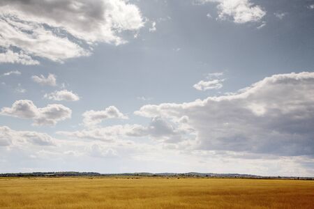 essex countryside farmland taken around a walk in fambridge on a cloudy dayの写真素材