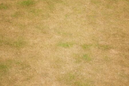 birds eye view of grass from aboveの写真素材
