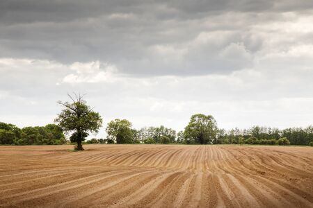 landscape image of a plowed field in essex englandの写真素材