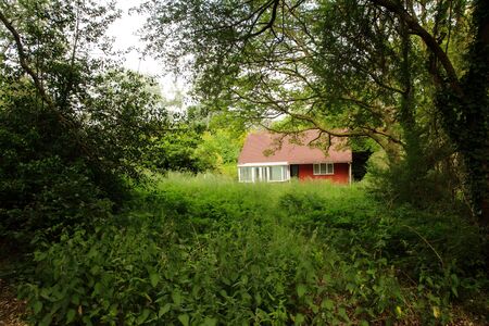 single brick house set in the wood all aloneの写真素材