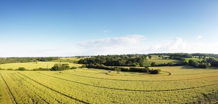 aerial view of the essex countryside near Ulting in essexの写真素材