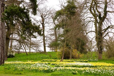 landscape image in the essex village of terling in englandの写真素材