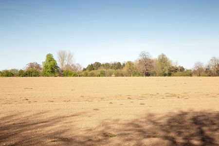 farm land in near the village town of hatfield peverel in essex england
