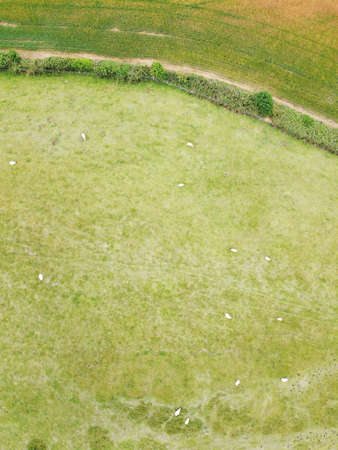 birds eye view of farmland from above looking straight downの写真素材