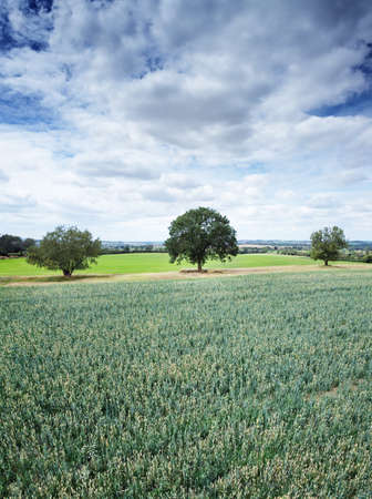 aerial view of farmland in the oxfordshire countryside in englandの写真素材