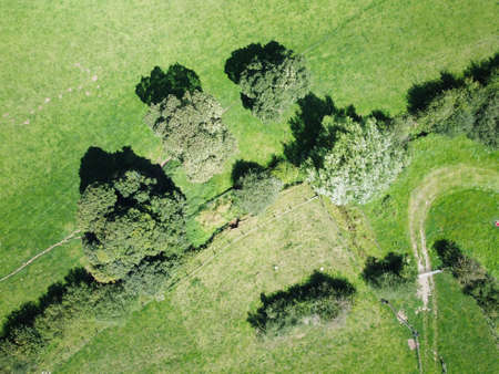 birds eye view of grass from above looking straight downの写真素材