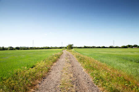 landscape image of dirt road  in the countryside around the small village of Battlesbridgeの写真素材