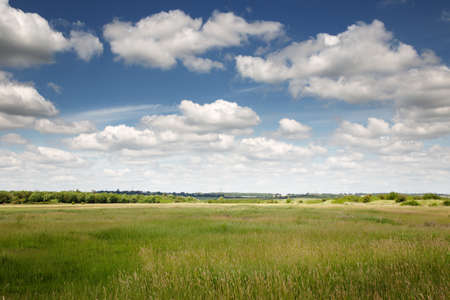 landscape image of farm land around the village of South Woodham Ferrers in essex englandの写真素材