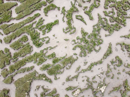 birds eye view of marsh land by the sea looking down