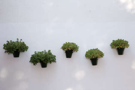 close up detail image of pots hanging on a white wash wall in mijas spainの写真素材