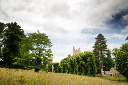 overgrown grass field in Bury St Edmunds, Suffolk england with church tower in the background above the treesの写真素材