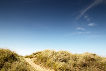 sand dunes along the cost of norfolk in old Hunstantonの写真素材