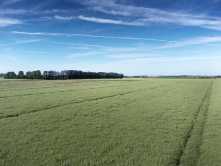 UK Bird eye view of english countryside in Norfolkの写真素材