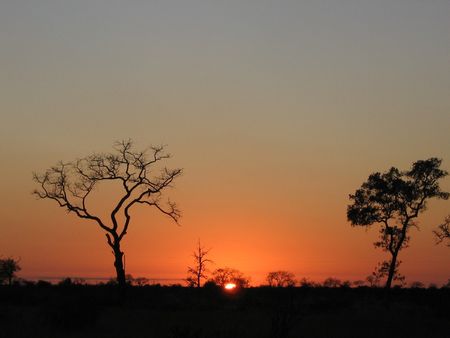 Sunset in Kruger National Parkの写真素材