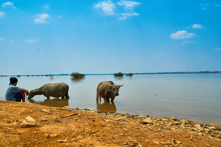 Next to Mekong River at the Mekong Discovery Trail in Kratie, Cambodiaの写真素材
