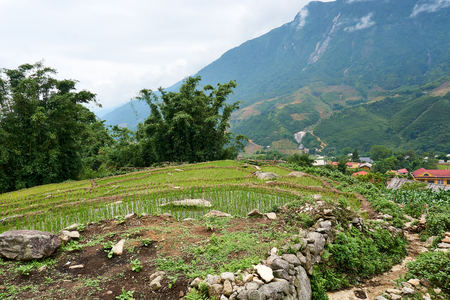 Fogy Landscape of Ricefields in lao chai sapa valey in Vietnam. Sapa, Vietnam.- 22. Mai. 2019の写真素材