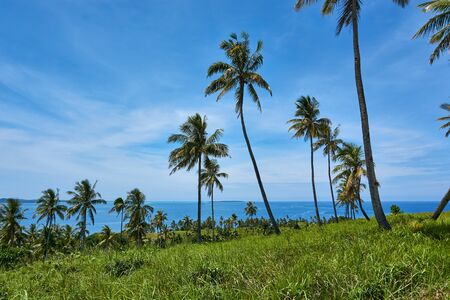View over Tropical Island, Siargao Island Landscape