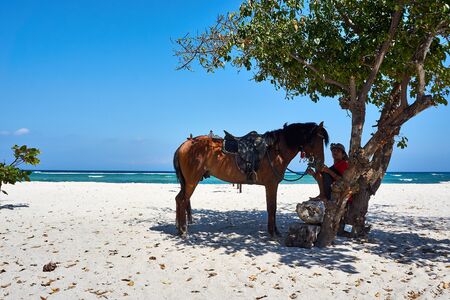 TRAWANGAN, INDONESIA - AUGUST.15.2019: Man sits at the beach with horse next to him on gili trawanganのeditorial素材